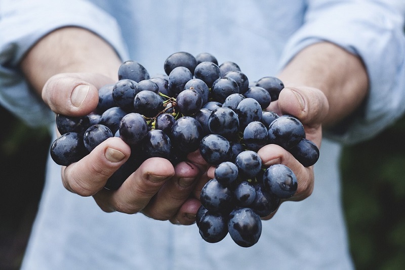 20 foods to boost your testosterone levels